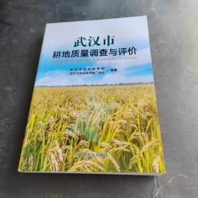 武汉市耕地质量调查与评价
