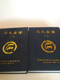 冯氏宗谱(上下卷)