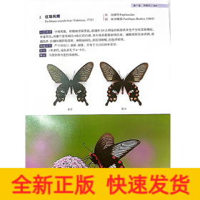 浙江烏巖嶺國家級自然保護區(qū)蝴蝶圖鑒