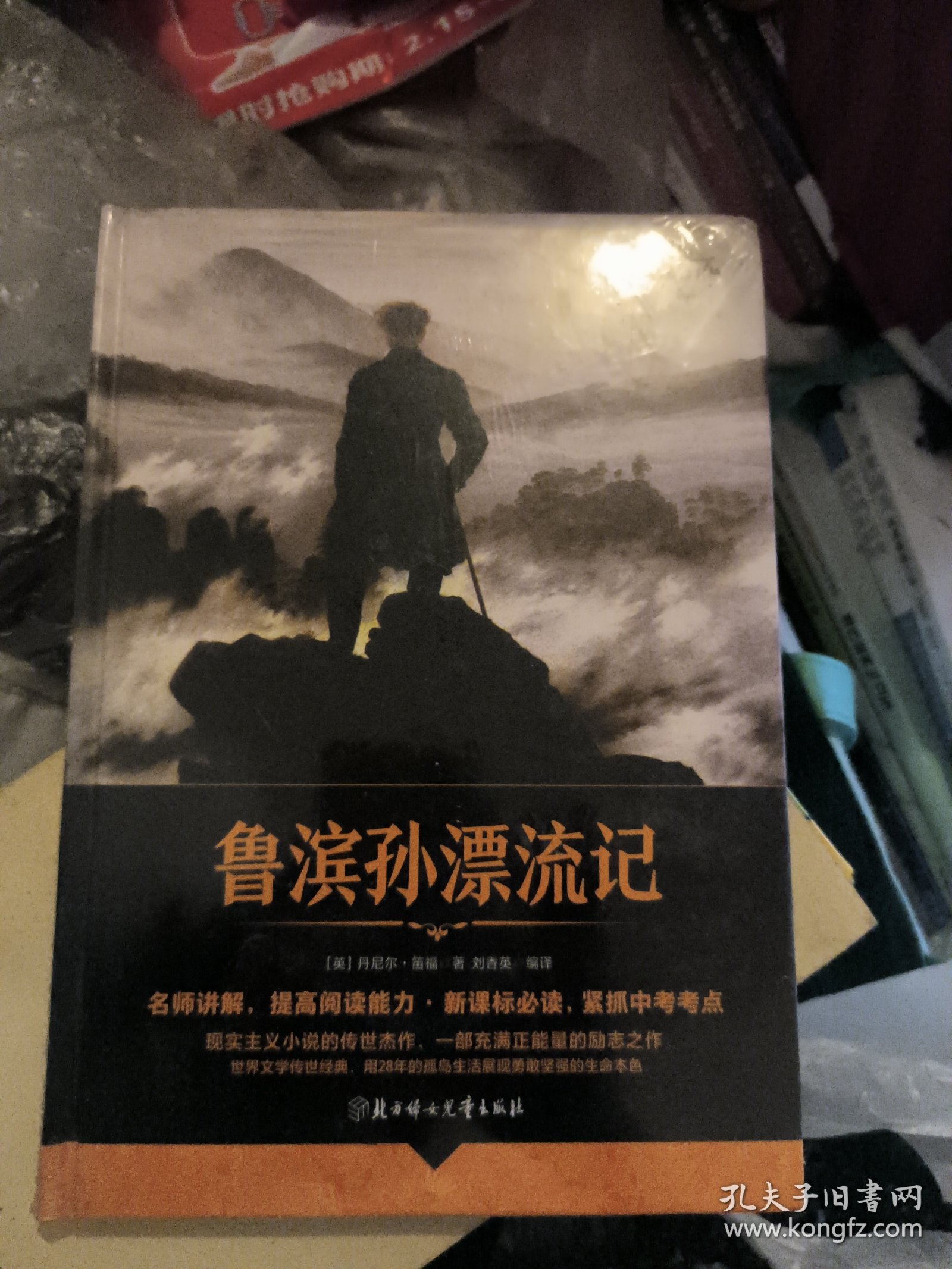 名师讲名著 鲁滨孙漂流记