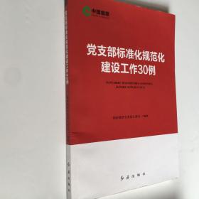 党支部标准化规范化建设工作30例