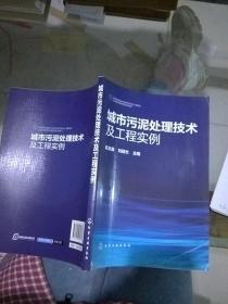 城市污泥处理技术及工程实例。