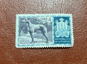 1956年圣马力诺发行邮票1枚 狗 (1956) 灵缇犬 (Canis lupus familiaris)