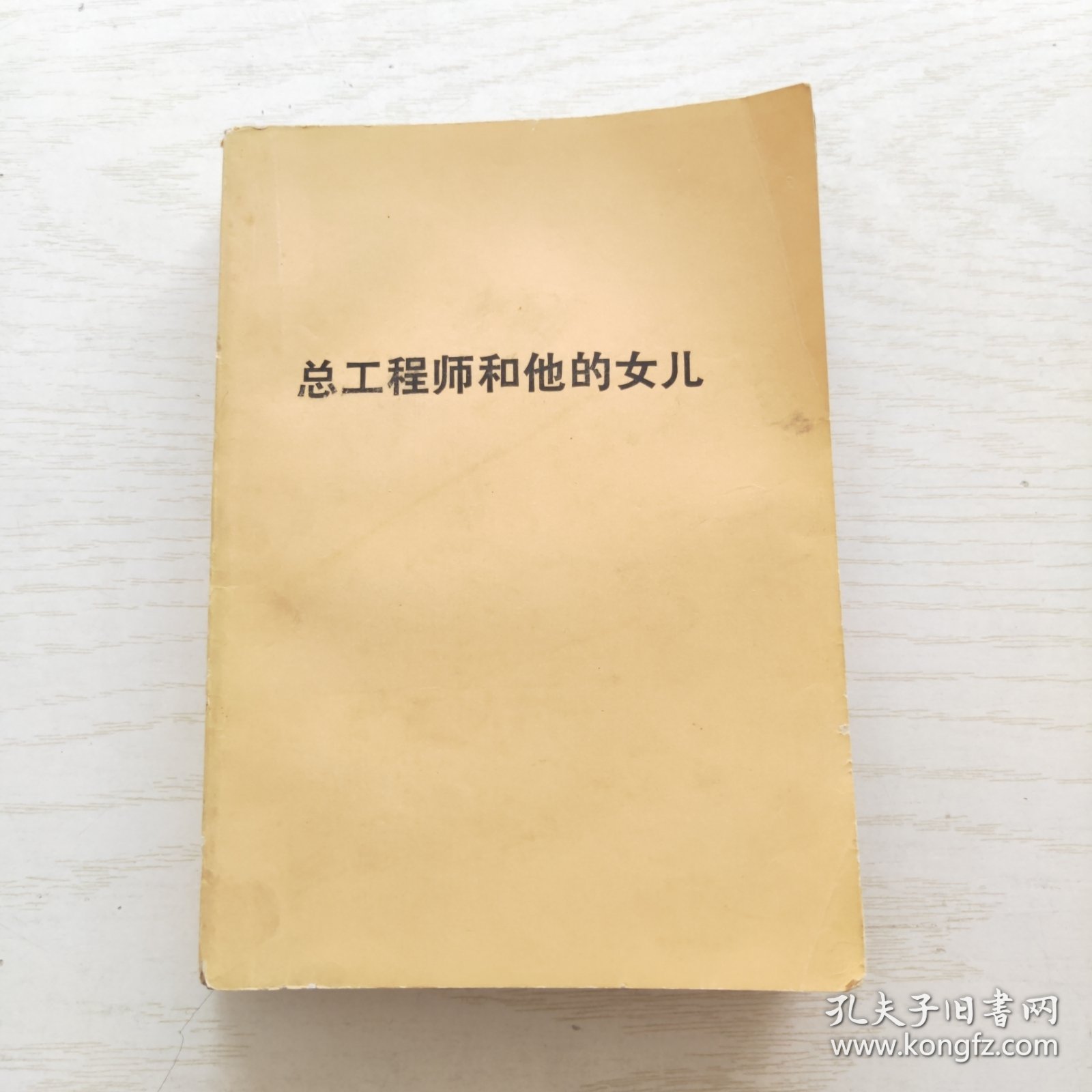 总工程师和他的女儿（一版一印）