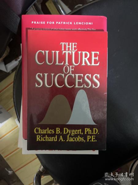 The Culture of Success