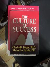 The Culture of Success