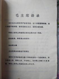 孔雀开屏迊朝阳——100号