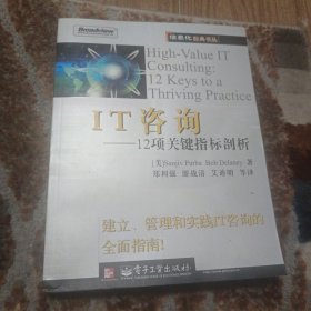 IT咨询：12项关键指标剖析