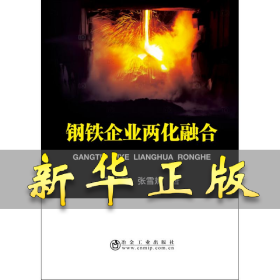钢铁企业两化融合 王大勇,张雪斌 9787502478971 冶金工业出版社
