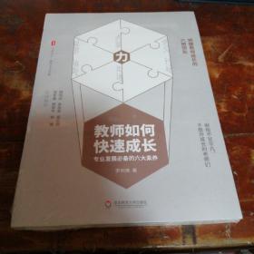 教师如何快速成长：专业发展必备的六大素养 大夏书系