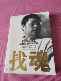 找魂：王志纲工作室战略策划10年实录