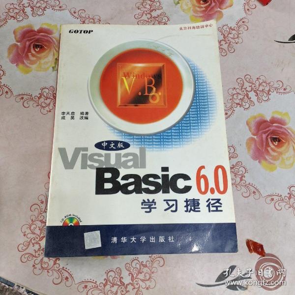 中文版VISUAL BASIC 6.0学习捷径