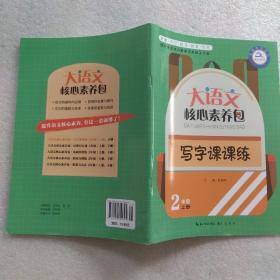 大语文核心素养包 写字课课练 2年级上册