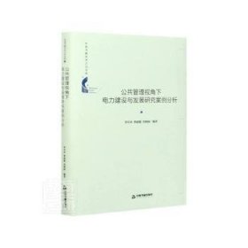 公共管理視角下電力建設(shè)與發(fā)展研究案例分析(精)/中國書籍學(xué)術(shù)之光文庫