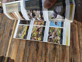 三江源生物多样性手册