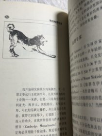 狗的秘密生活