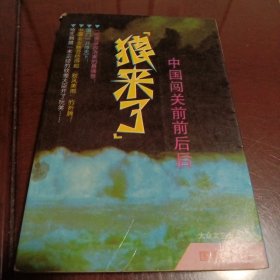 狼来了：中国闯关前前后后