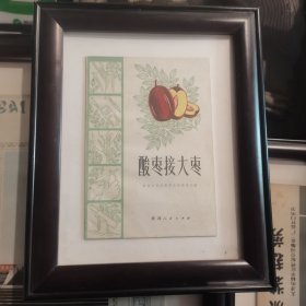 酸枣接大枣 书+画框