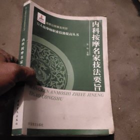 内科按摩名家技法要旨(按摩师职业技能提高丛书·大字本)