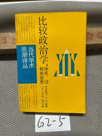 比较政治学：体系、过程和政策