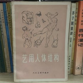 艺用人体结构