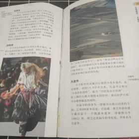 藏羚羊旅行指南：四川重庆