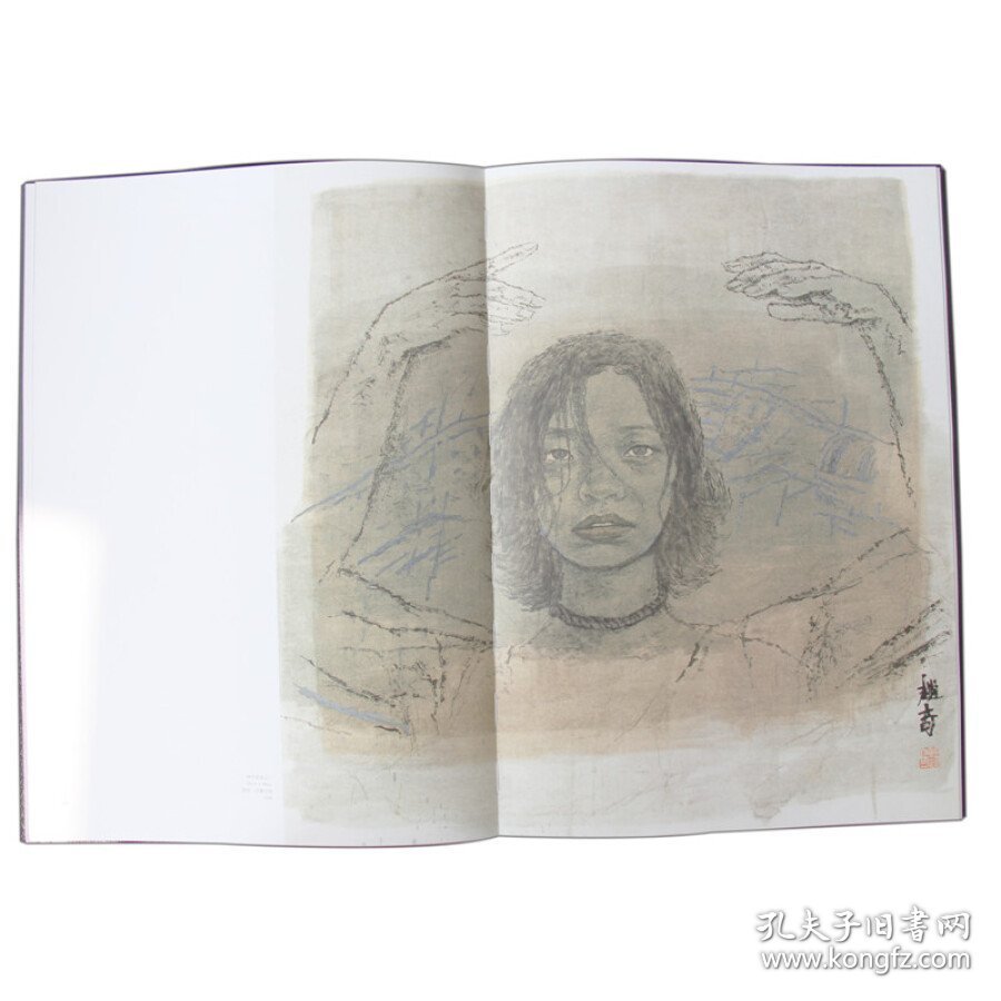 正版新书现货 二十一世纪主流人物画家创作丛书：赵奇 9787534730054 赵奇 绘