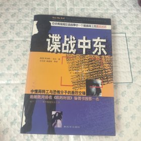 谍战中东