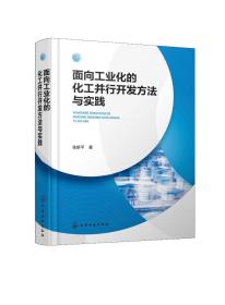 面向工业化的化工并行开发方法与实践