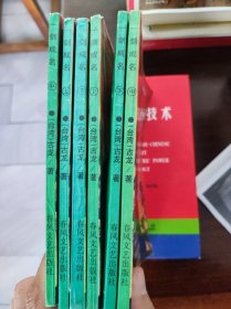 武侠 : 一剑成名（正集+续集，全六册）