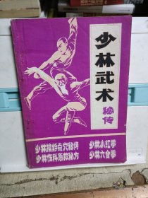 少林武术秘传