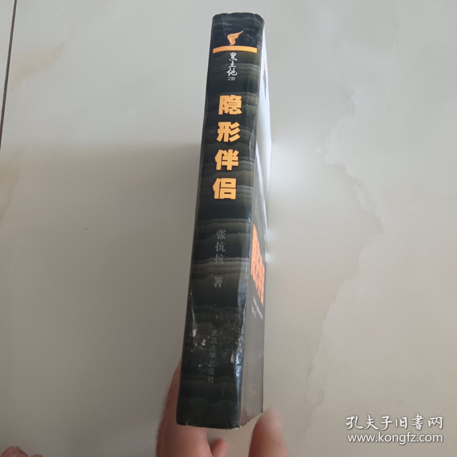 隐形伴侣
