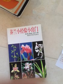 养兰小经验小窍门