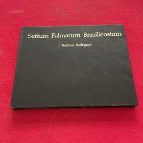 Aertum Palmarum Brasiliensium J Barbosa Rodriues