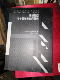 城市化理论重构与城市远见丛书：体制转型与中国城市空间重构