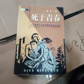 死于青春:一个年仅十九岁的警察的悲壮故事