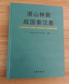 潜山林新战国秦汉墓