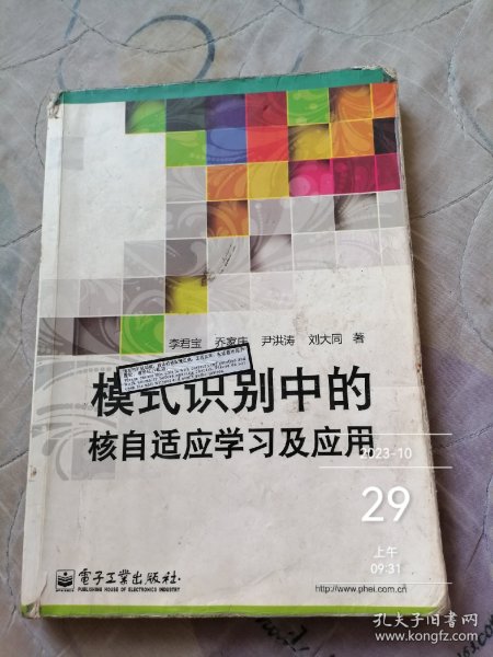 模式识别中的核自适应学习及应用