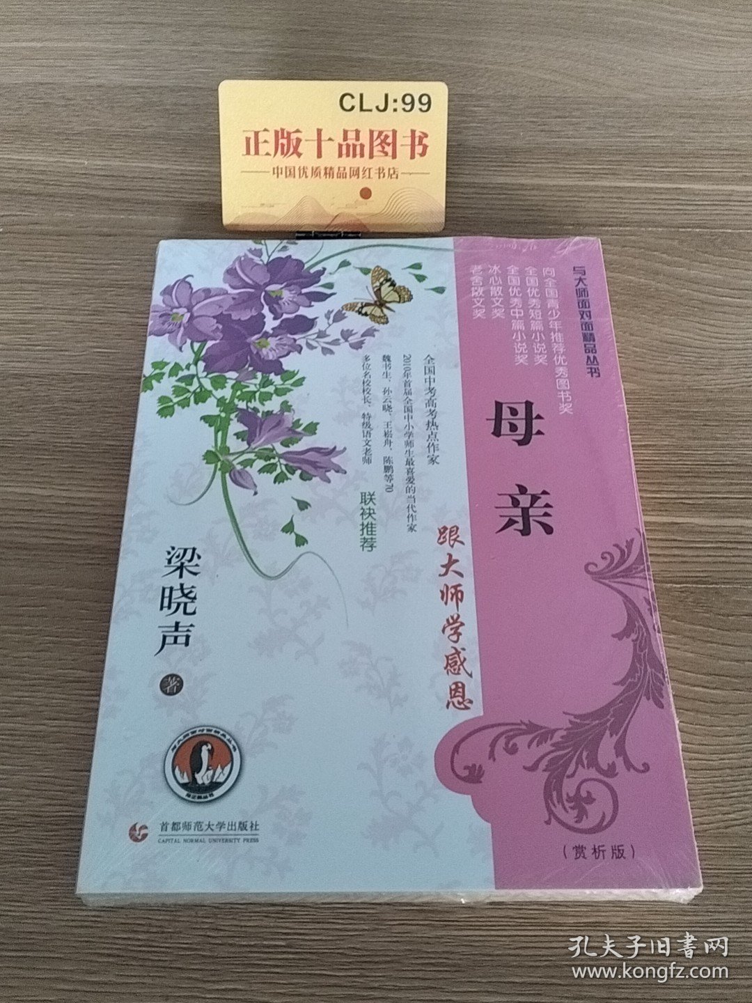 帝企鹅与大师面对面精品丛书：母亲H5909