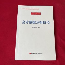 审计技巧丛书：会计数据分析技巧