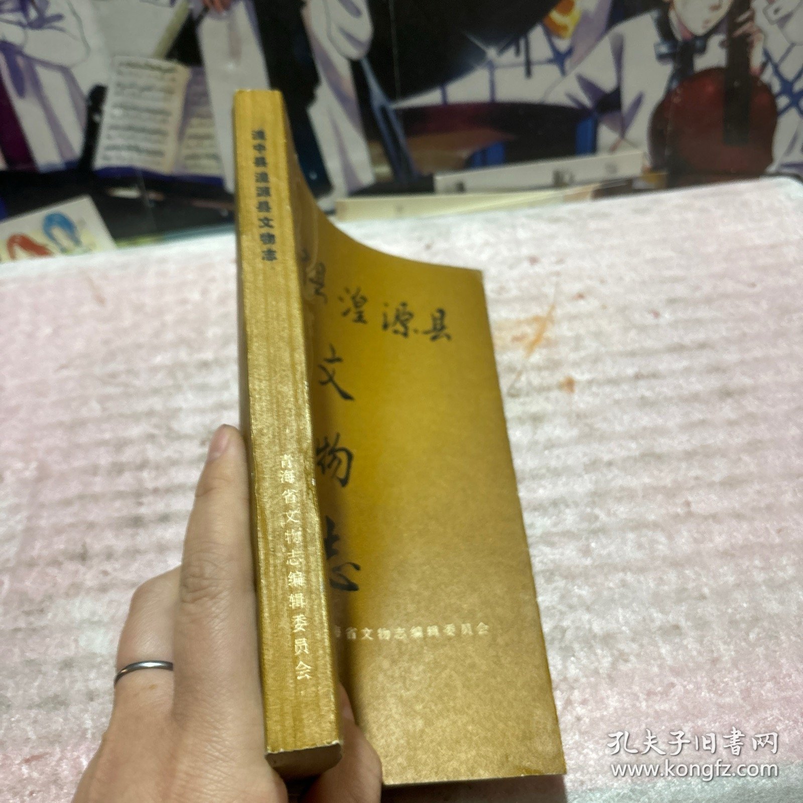 湟中县湟源县文物志