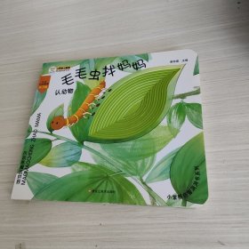 24开小笨熊启智洞洞书系列（1200241A00）毛毛虫找妈妈