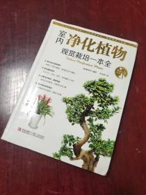 情趣生活系列：室内净化植物观赏栽培一本全