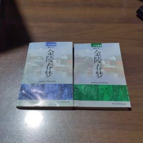 金陵春梦 8 大江东去+7 三大战役（2本合售）