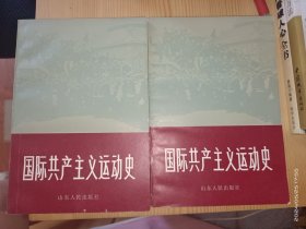 国际共产主义运动史 （上下）