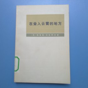 在耸人云霄的地方