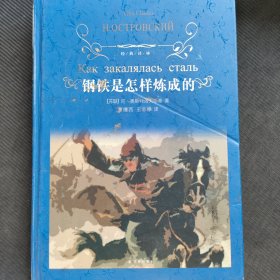 钢铁是怎样炼成的（新版）/经典译林