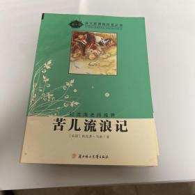 苦儿流浪记（导读版）/语文新课程标准必读