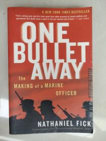 One Bullet Away：The Making of a Marine Officer  英文原版 插图本