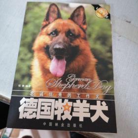 德国牧羊犬